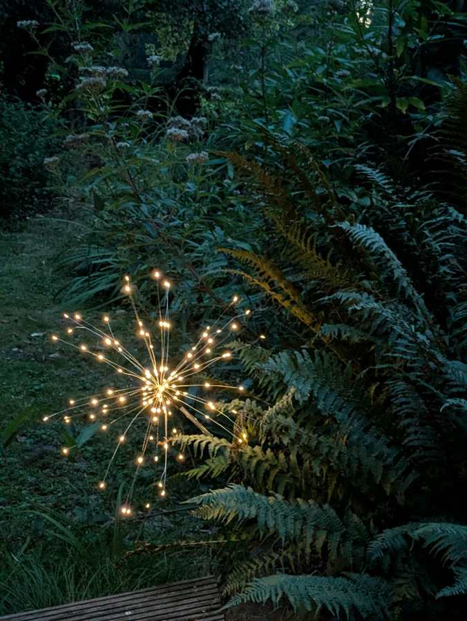 Warme Lichterfunken zwischen Farnen im abendlichen Garten