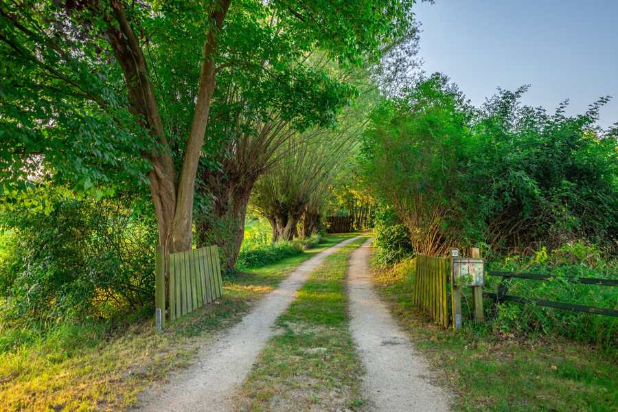 Weidenallee mit idyllischem Zufahrtsweg zum Wersehaus